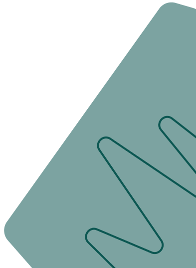 An destination to your ROI's - Ropa Carlos